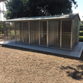 Load image into Gallery viewer, A multi-unit wooden dog kennel block with multiple runs. The structure is built with pressure-treated timber and features galvanized steel bar panels for the runs, with each unit having a separate, enclosed sleeping area. The kennel is designed for multiple dogs and is durable and secure.