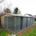 Load image into Gallery viewer, A multi-unit wooden dog kennel block with multiple runs. The structure is built with pressure-treated timber and features galvanized steel bar panels for the runs, with each unit having a separate, enclosed sleeping area. The kennel is designed for multiple dogs and is durable and secure.