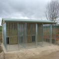 Load image into Gallery viewer, A multi-unit wooden dog kennel block with multiple runs. The structure is built with pressure-treated timber and features galvanized steel bar panels for the runs, with each unit having a separate, enclosed sleeping area. The kennel is designed for multiple dogs and is durable and secure.