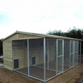 Load image into Gallery viewer, A multi-unit wooden dog kennel block with multiple runs. The structure is built with pressure-treated timber and features galvanized steel bar panels for the runs, with each unit having a separate, enclosed sleeping area. The kennel is designed for multiple dogs and is durable and secure.