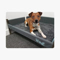 Load image into Gallery viewer, Stylish and supportive elevated dog bed for joint health and comfort