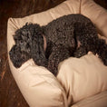 Load image into Gallery viewer, Trojan Waterproof Cosy Dog Bed designed for chew-resistant durability