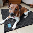 Load image into Gallery viewer, Microfibre Noodle Dog Ma