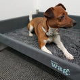 Load image into Gallery viewer, Microfibre Noodle Dog Mat by KENNELSTORE – Absorbent & Durable