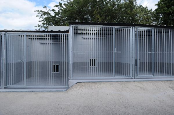 Bespoke Dog Run Panels Made To Measure Call Sales Now 01270 212 193 For a Free No Obligation Quote