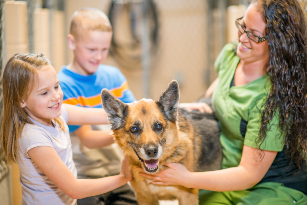 Adopting A Dog: Everything You Need To Know & More