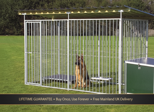 galvanised outdoor dog pens