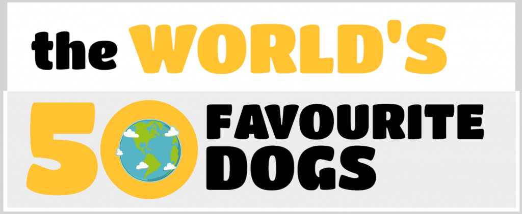 The World’s 50 Favourite Dogs
