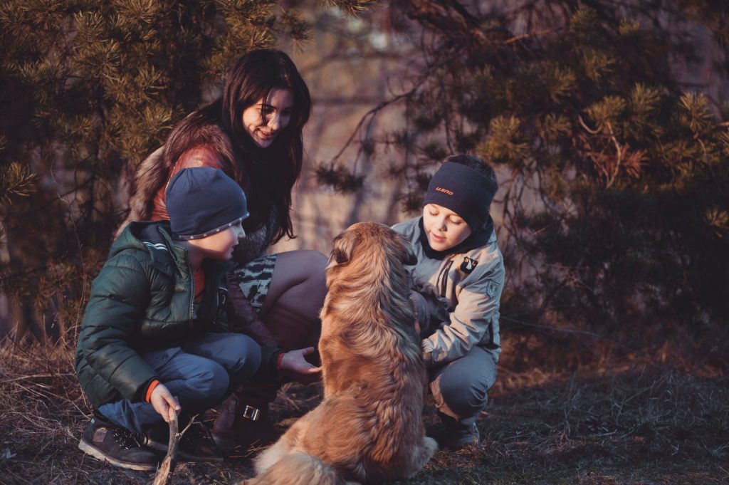 Six Qualities Every Great Family Dog Should Have (Including Advice)