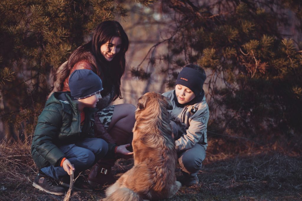 Happy family dog playing with children - qualities of a great family pet