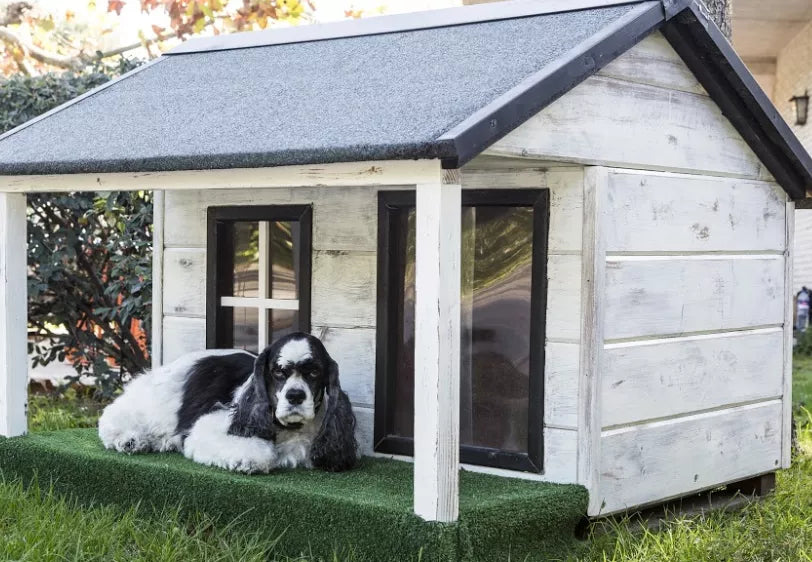 Outdoor Dog Kennels: Advantages And Choosing The One For You