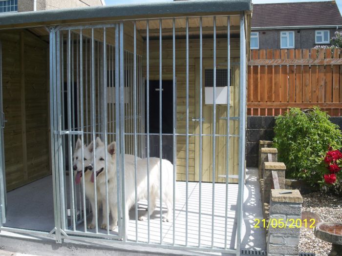 Kingsley 2 Bay Dog Kennel & Storage 14ft (wide) x 10'6ft (depth) x 7'3ft (apex)