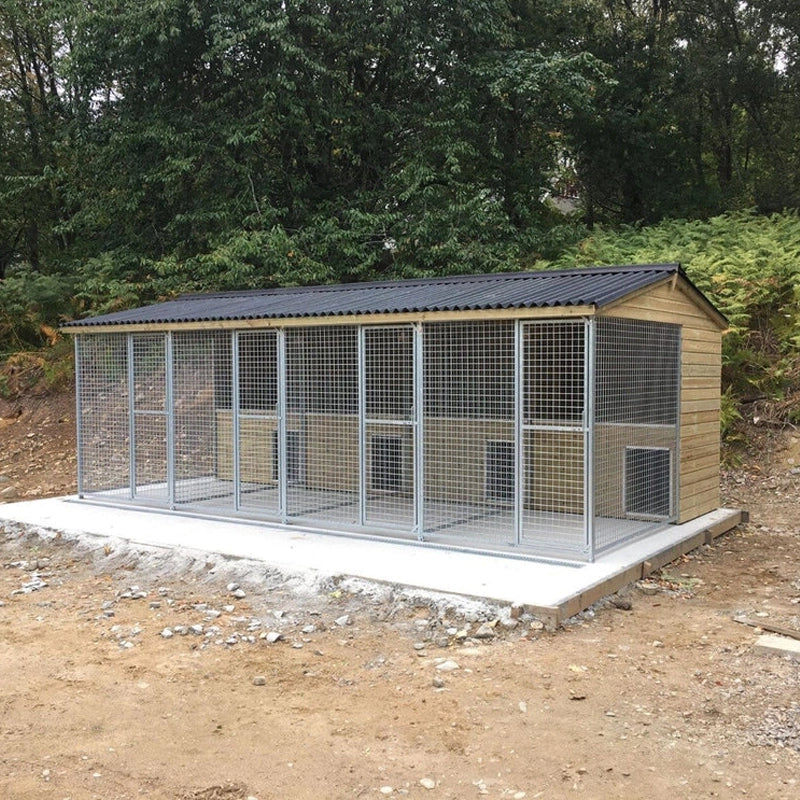 A multi-unit wooden dog kennel block with multiple runs. The structure is built with pressure-treated timber and features galvanized steel bar panels for the runs, with each unit having a separate, enclosed sleeping area. The kennel is designed for multiple dogs and is durable and secure.