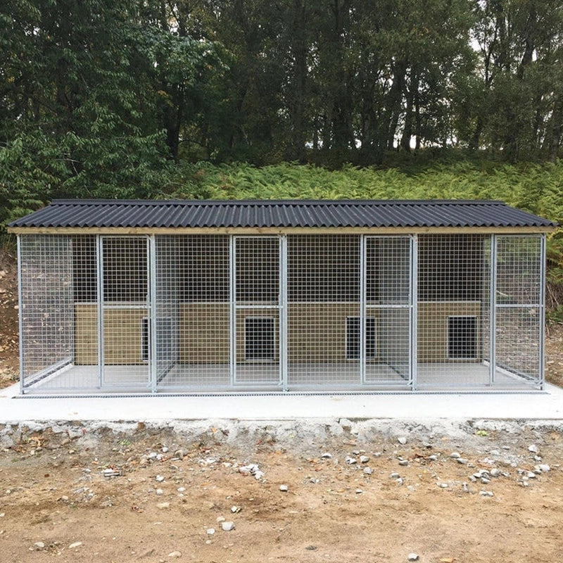 A multi-unit wooden dog kennel block with multiple runs. The structure is built with pressure-treated timber and features galvanized steel bar panels for the runs, with each unit having a separate, enclosed sleeping area. The kennel is designed for multiple dogs and is durable and secure.