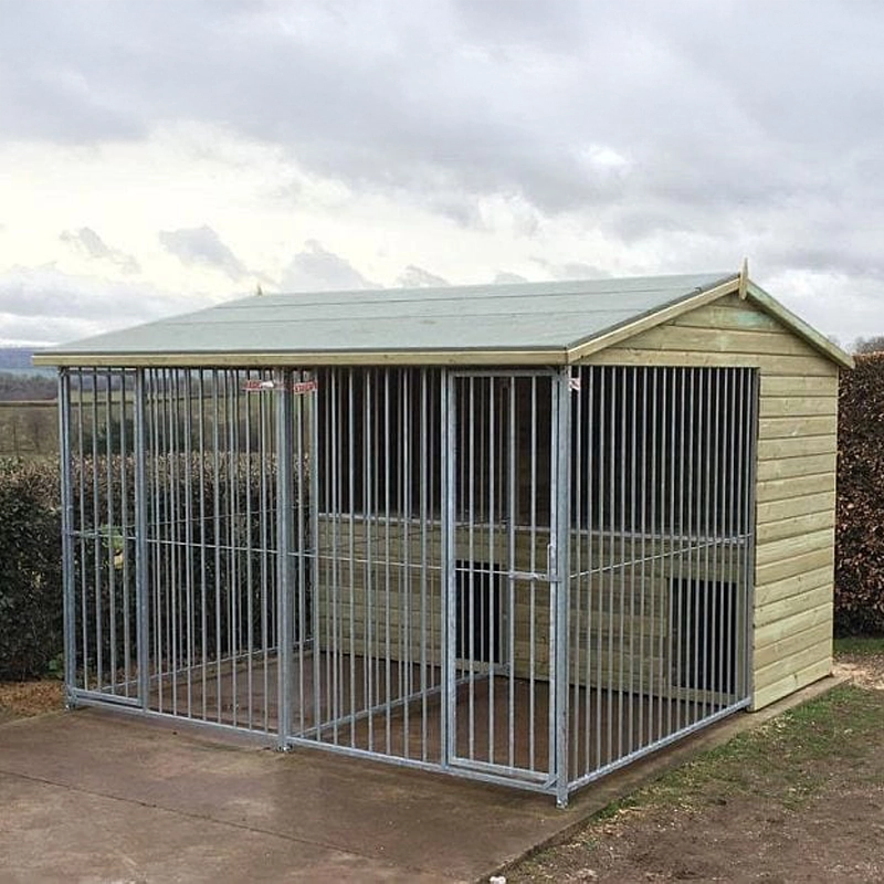 A multi-unit wooden dog kennel block with multiple runs. The structure is built with pressure-treated timber and features galvanized steel bar panels for the runs, with each unit having a separate, enclosed sleeping area. The kennel is designed for multiple dogs and is durable and secure.