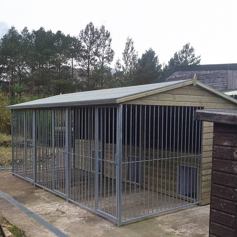 A multi-unit wooden dog kennel block with multiple runs. The structure is built with pressure-treated timber and features galvanized steel bar panels for the runs, with each unit having a separate, enclosed sleeping area. The kennel is designed for multiple dogs and is durable and secure.