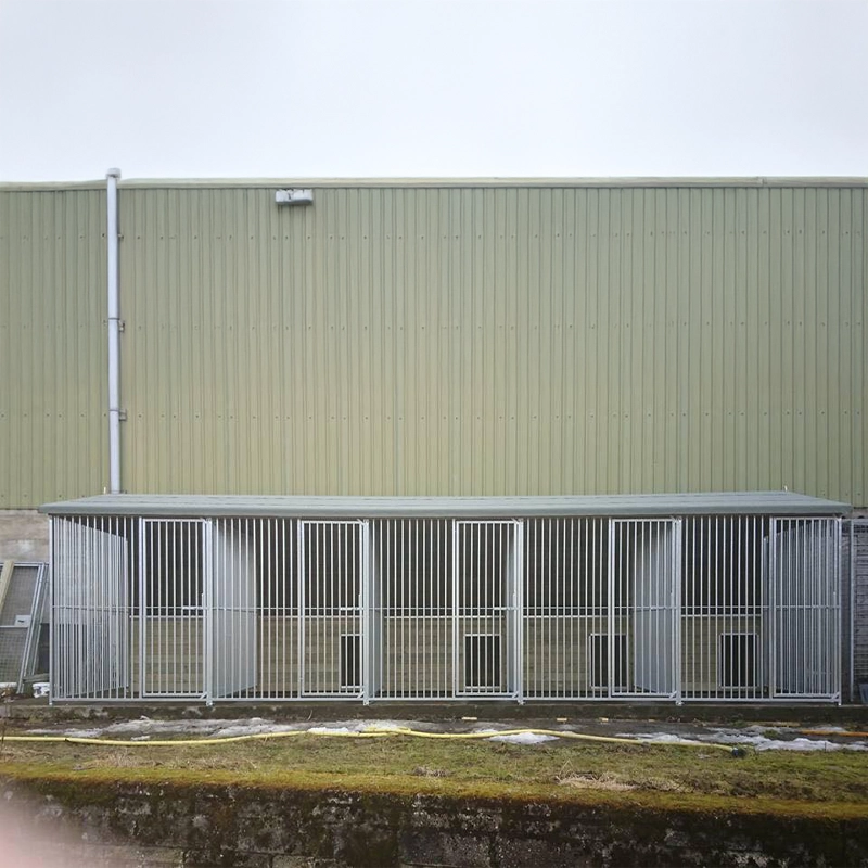 A multi-unit wooden dog kennel block with multiple runs. The structure is built with pressure-treated timber and features galvanized steel bar panels for the runs, with each unit having a separate, enclosed sleeping area. The kennel is designed for multiple dogs and is durable and secure.