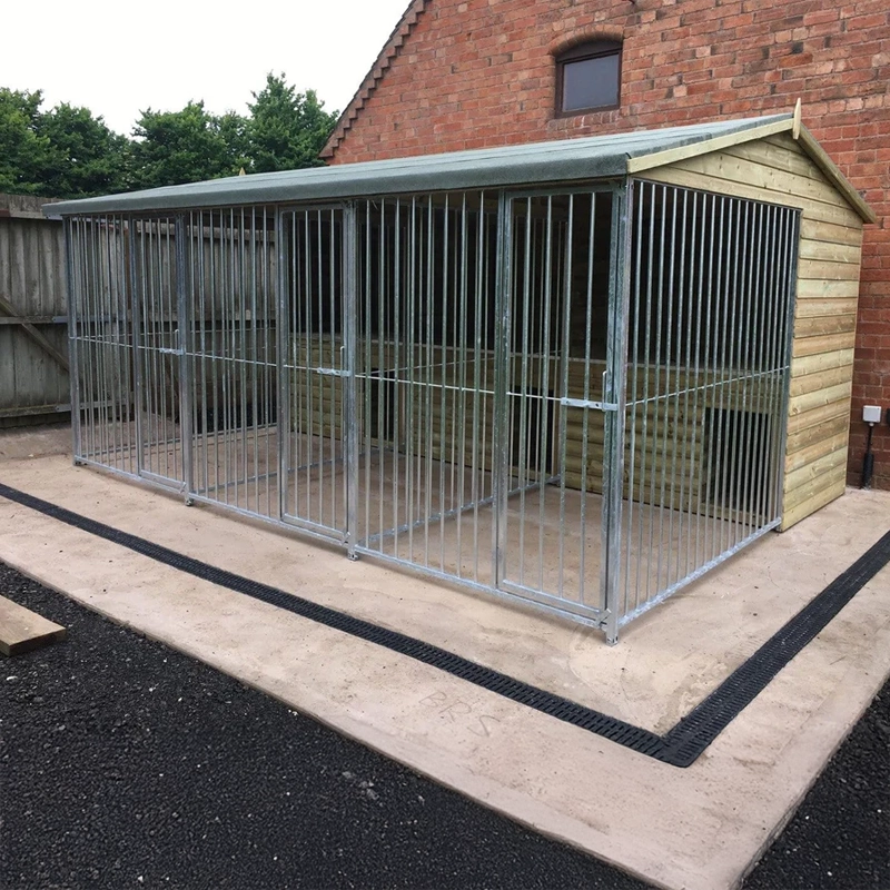 A multi-unit wooden dog kennel block with multiple runs. The structure is built with pressure-treated timber and features galvanized steel bar panels for the runs, with each unit having a separate, enclosed sleeping area. The kennel is designed for multiple dogs and is durable and secure.