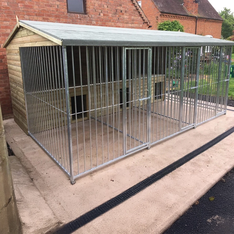 A multi-unit wooden dog kennel block with multiple runs. The structure is built with pressure-treated timber and features galvanized steel bar panels for the runs, with each unit having a separate, enclosed sleeping area. The kennel is designed for multiple dogs and is durable and secure.