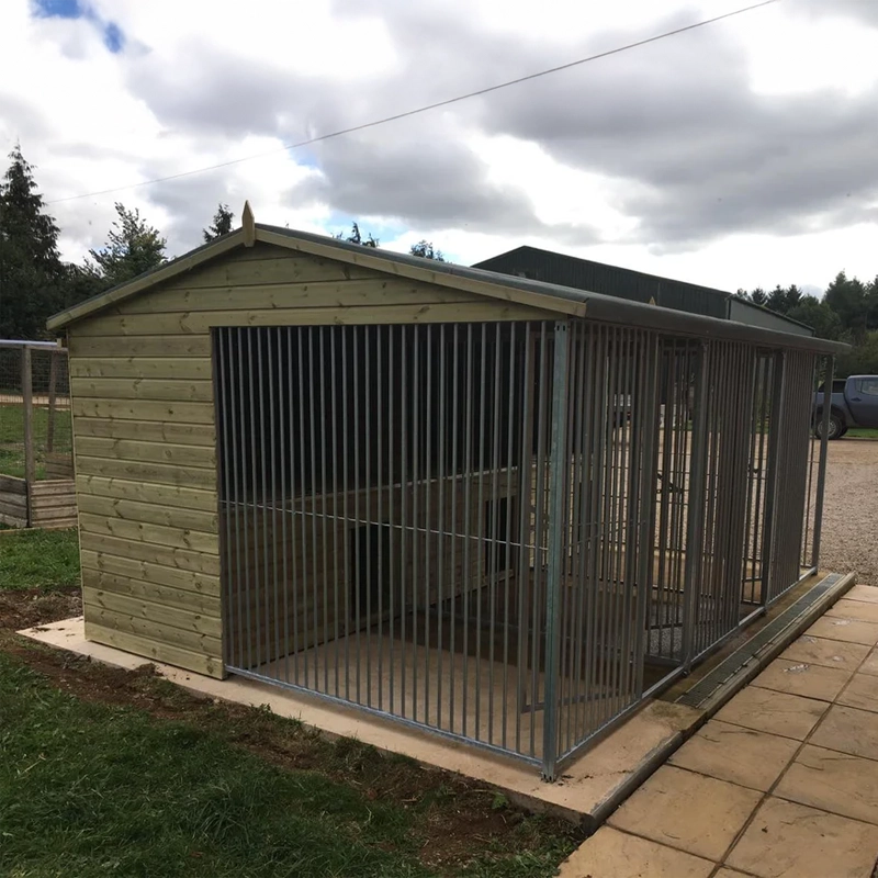 A multi-unit wooden dog kennel block with multiple runs. The structure is built with pressure-treated timber and features galvanized steel bar panels for the runs, with each unit having a separate, enclosed sleeping area. The kennel is designed for multiple dogs and is durable and secure.