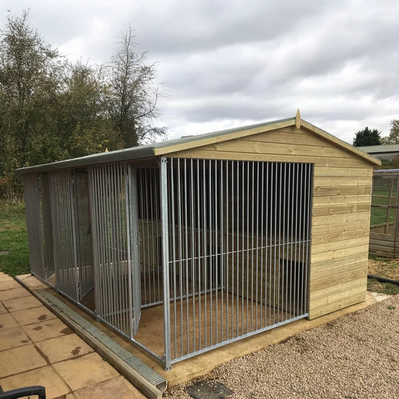 A multi-unit wooden dog kennel block with multiple runs. The structure is built with pressure-treated timber and features galvanized steel bar panels for the runs, with each unit having a separate, enclosed sleeping area. The kennel is designed for multiple dogs and is durable and secure.