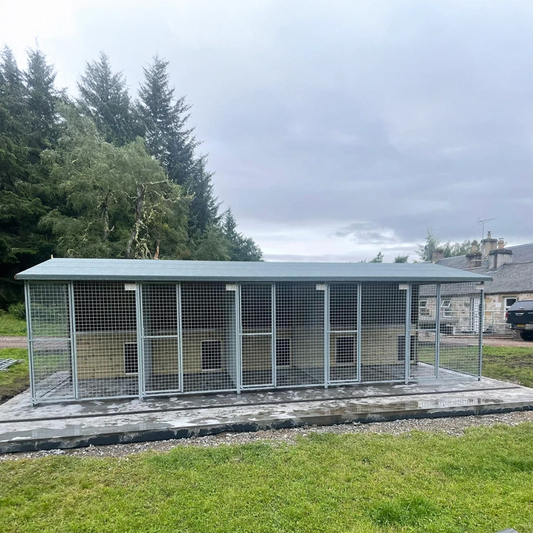 A multi-unit wooden dog kennel block with multiple runs. The structure is built with pressure-treated timber and features galvanized steel bar panels for the runs, with each unit having a separate, enclosed sleeping area. The kennel is designed for multiple dogs and is durable and secure.