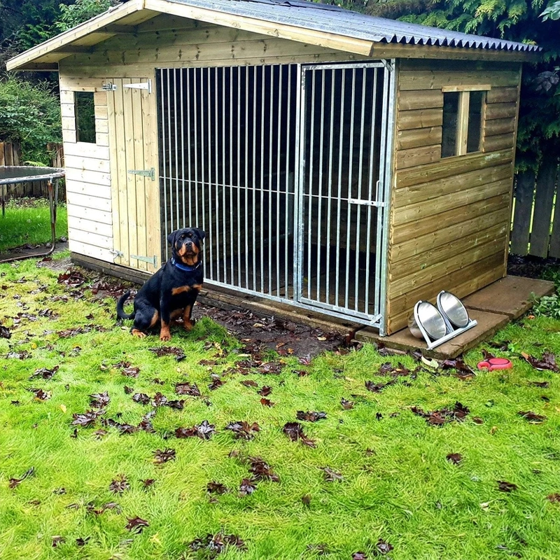 A Kennelstore 10x6 Elworth Apex Wooden Dog Kennel & Run. The pressure-treated outdoor shelter features a classic apex roof design and a secure galvanized steel run panel.