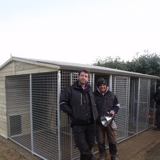 A multi-unit wooden dog kennel block with multiple runs. The structure is built with pressure-treated timber and features galvanized steel bar panels for the runs, with each unit having a separate, enclosed sleeping area. The kennel is designed for multiple dogs and is durable and secure.