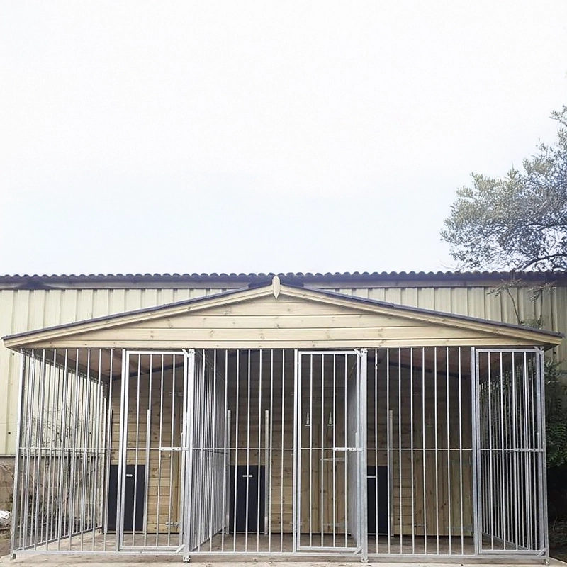 A multi-unit wooden dog kennel block with multiple runs. The structure is built with pressure-treated timber and features galvanized steel bar panels for the runs, with each unit having a separate, enclosed sleeping area. The kennel is designed for multiple dogs and is durable and secure.