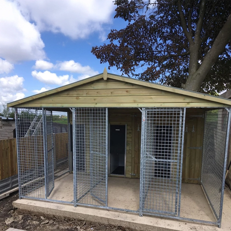 A multi-unit wooden dog kennel block with multiple runs. The structure is built with pressure-treated timber and features galvanized steel bar panels for the runs, with each unit having a separate, enclosed sleeping area. The kennel is designed for multiple dogs and is durable and secure.