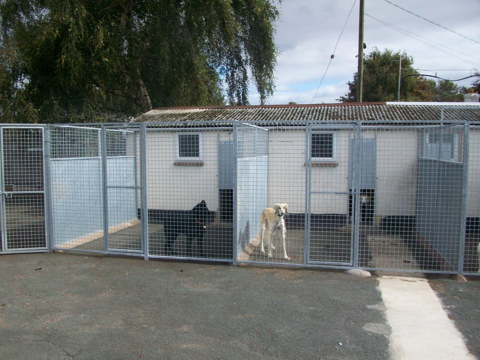 galvanised dog run panels kennelstore